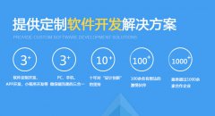 山东软件定制开发解决方案